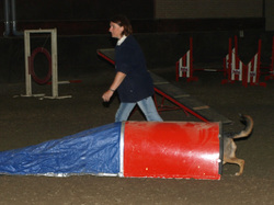 P1010034.JPG